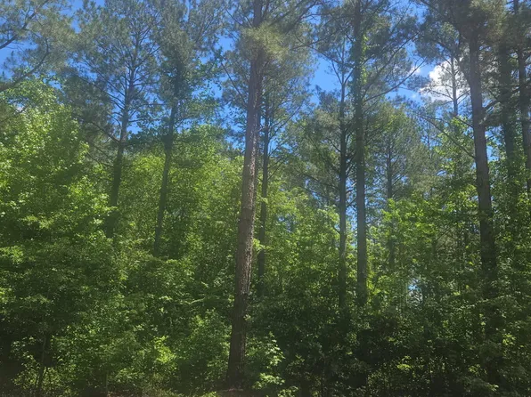 Lot 6 Ga Highway 123, Mitchell, GA 30820