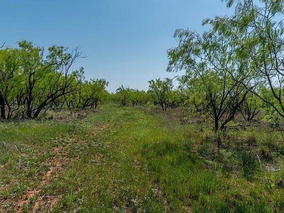 Sweetwater Land For Sale with Owner Financing Available