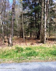 100 King Arthur Rd, Pocono Lake, PA, 18347