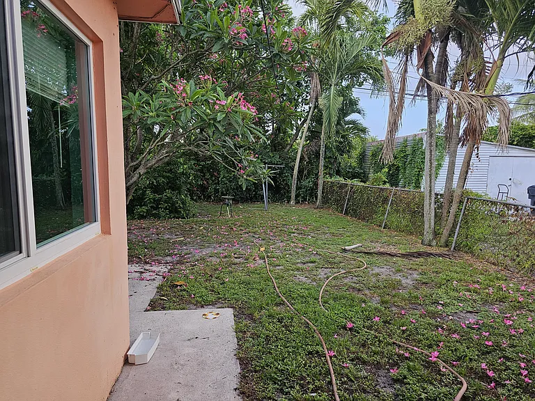 Backyard view
