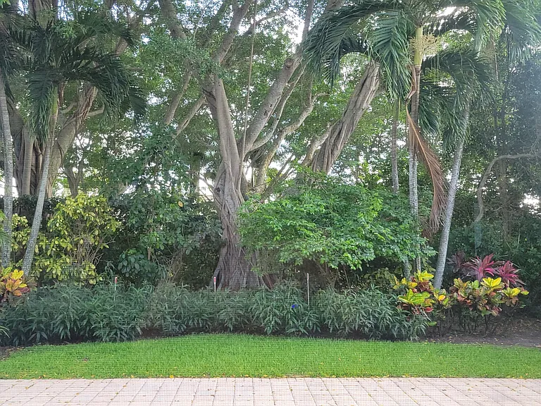 127 Sunset Cove Ln — Photo 10