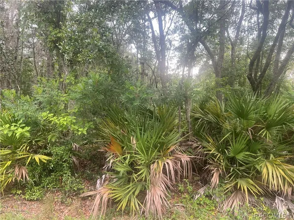 8488 N Ironwood Ter, Crystal River, FL 34428