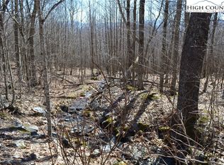 Tbd Holiday Ln, Whitetop, VA 24292