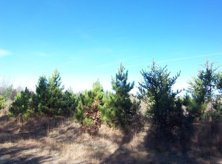 LOT 1 Black Brook Rd, Webster, WI 54893