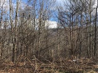 241 Shovel Creek Rd, Waynesville, NC 28786