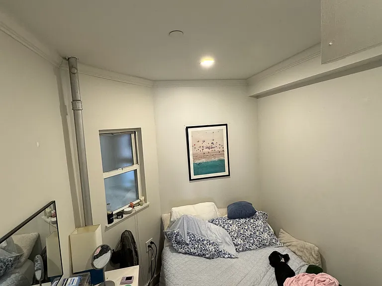161 Ludlow St #9 — Photo 4