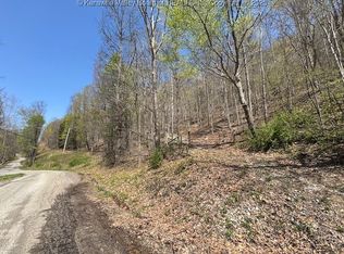 0 Blue Creek Rd, Elkview, WV 25071