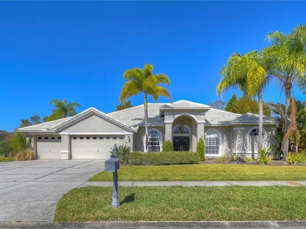 6919 Aqueduct Ter, Odessa, FL 33556