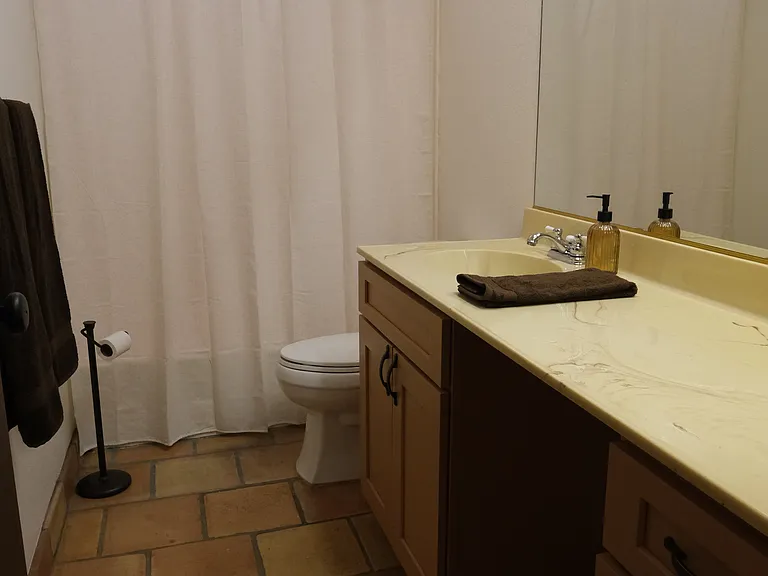 30023 White Wake Dr — Photo 21