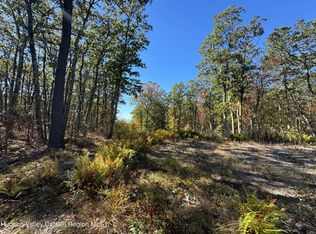 O Mercer Mountain Road, Canaan, NY 12029