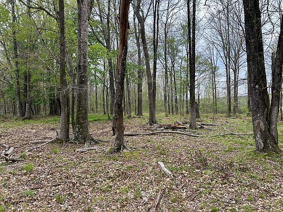 2nd image of 0 County Road 413