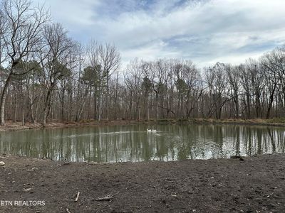 47 W Bluff Rd, Pikeville, TN, 37367