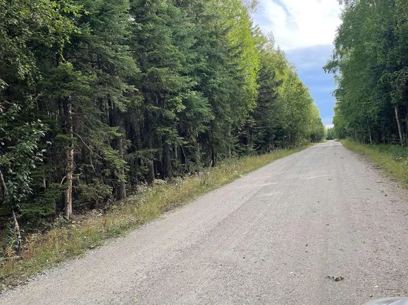 L8b13 Sixth Ave, Delta Junction, AK 99737