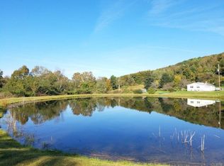 11962 Birch Creek Rd, Pine City, NY 14871