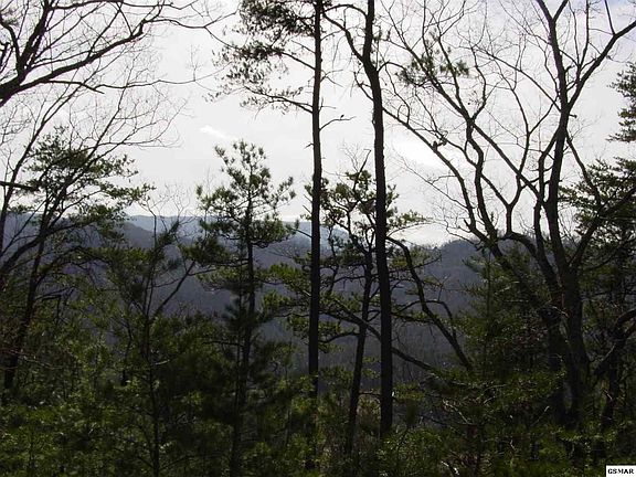 5th image of 55 Cloud View Dr Lot 55