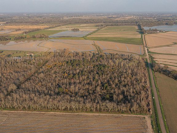 5th image of (Undisclosed Address)