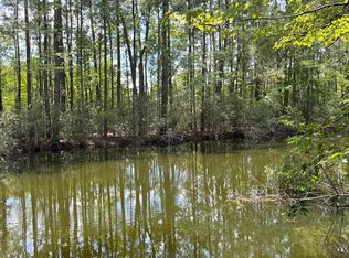 153 Rutledge Dr, Eutawville, SC 29048