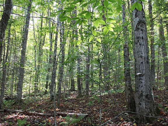 3rd image of 0 State Route 28