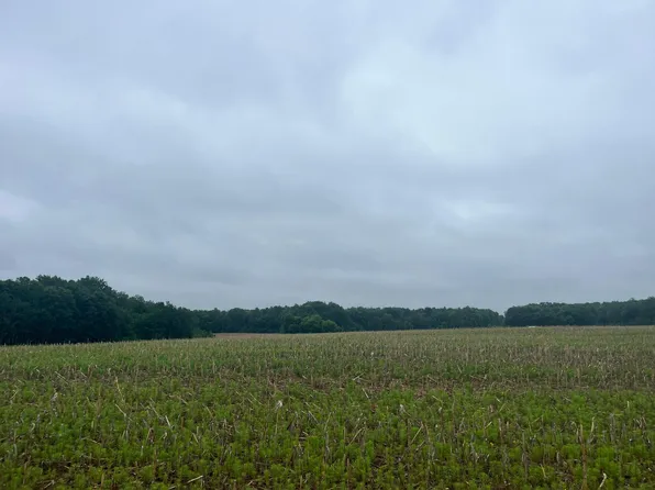 LOT 1 Hemingway Ave, North Branch, MN 55056