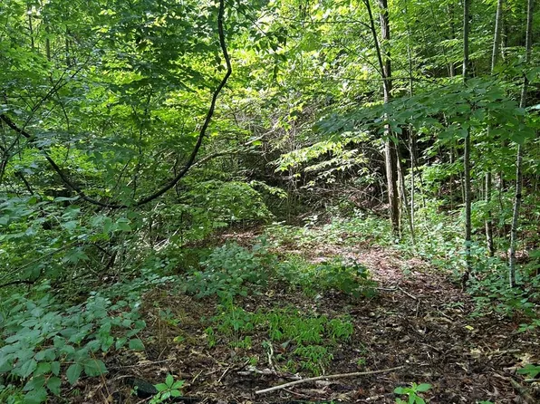 50 Grand View Estates Dr, Whittier, NC 28789