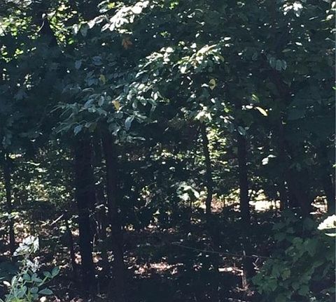 3rd image of Bradford Dr