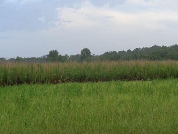 2nd image of Silas Schillings Rd