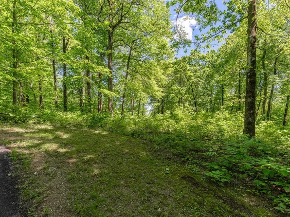 149 Lacy Fern Way, Landrum, SC 29356