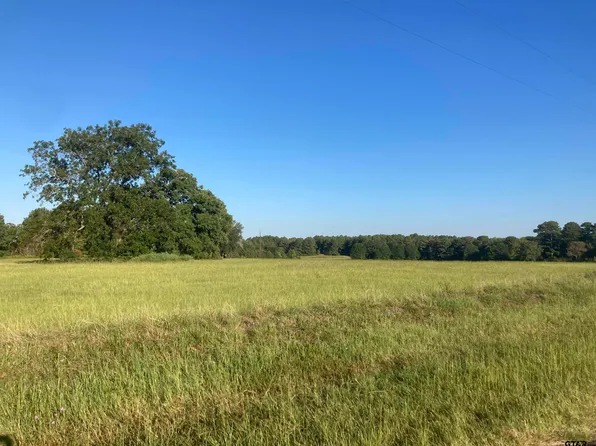 15326 County Road 1100, Tyler, TX 75703