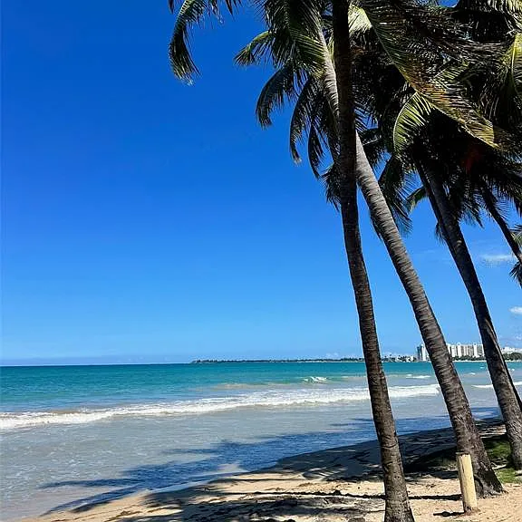 3511 Isla Verde Ave #204 — Photo 4