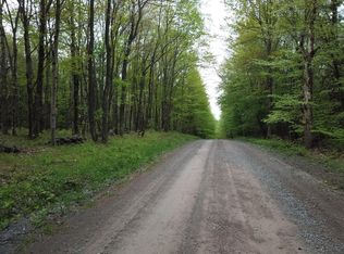 Gesell Rd, East Meredith, NY 13757