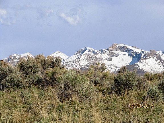 Continued View From Back