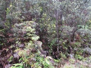 Road C LOT 69, Volcano, HI 96785