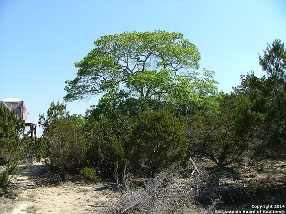 5th image of 508 State Highway 46 E