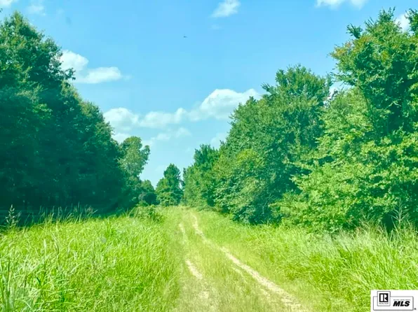 0 Clear Lake Rd, Oak Grove, LA 71263