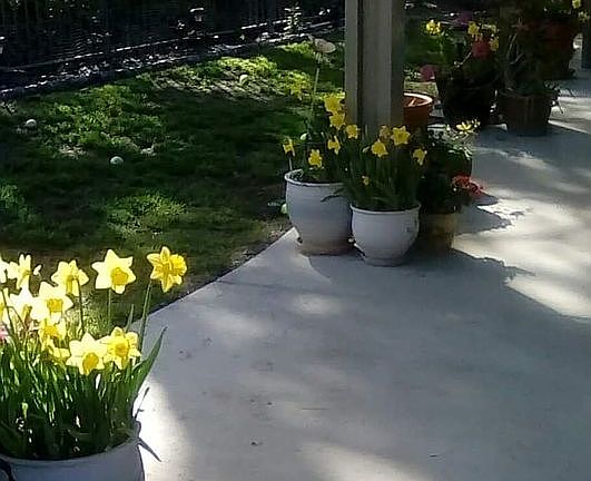 2nd image of 31063 Bunker Dr