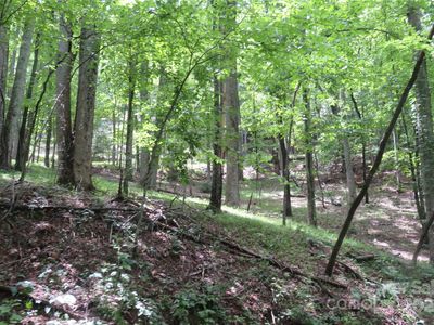 Poplar Dr Lot 152, Mills River, NC, 28759