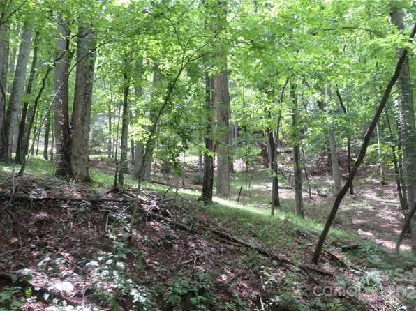 Poplar Dr Lot 152, Mills River, NC 28759