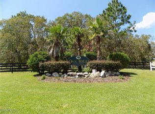 2719 NW 87th Ave, Wildwood, FL 34785