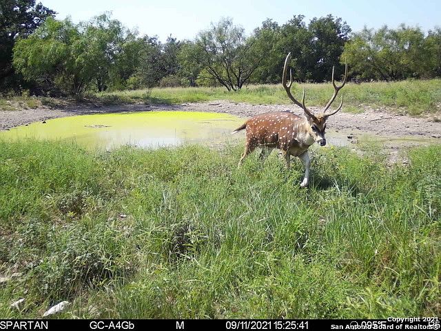 1st image of TBD Waddell Lane