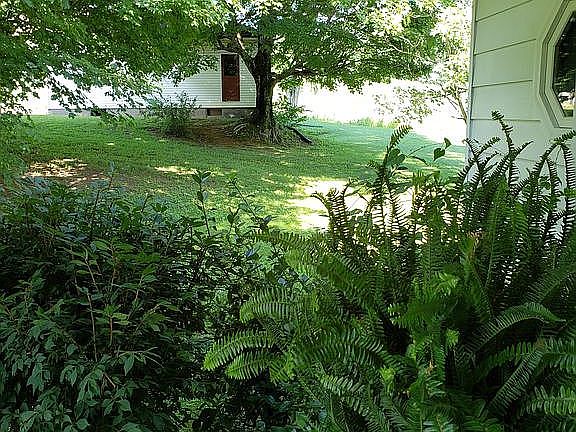 5th image of 5654 Old Bowling Green Rd