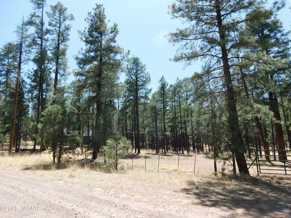 17 N 2326th, Alpine, AZ 85920