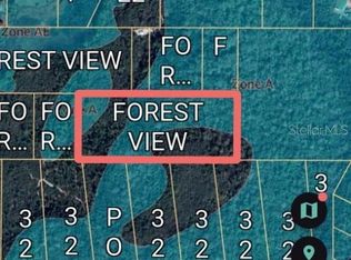 Forest View Rd, Deland, FL 32720