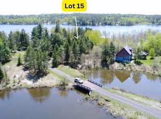 80086 Waters Of Vermilion Rd, Tower, MN 55790