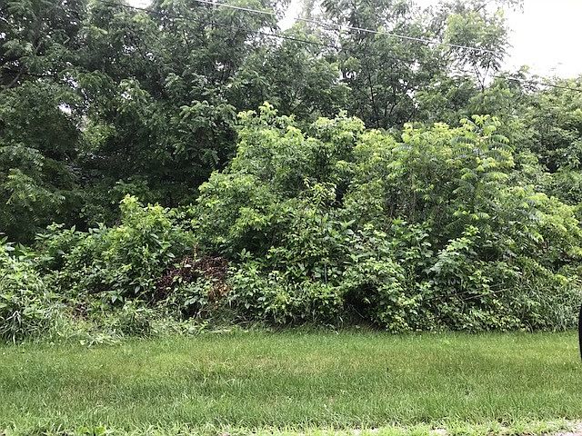 2nd image of 21424 S River Rd