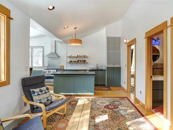 3049 County Road 6, Alma, CO 80420