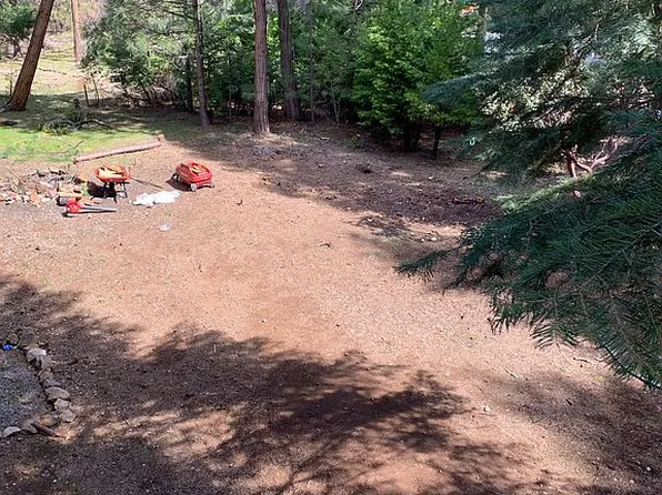 6685 Tyler Dr, Grizzly Flats, CA 95636