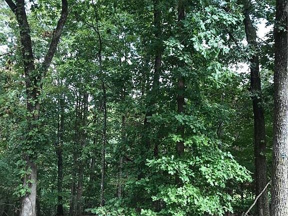 5th image of Buckingham Dr