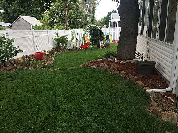 Back yard