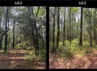 1051 Butterfly Ln, Awendaw, SC 29429