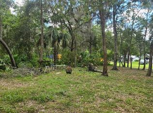 352 1st St LOT 9, Osteen, FL 32764